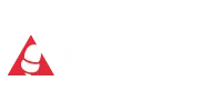 bellota 1.png